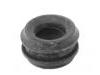 Suspension Bushing Suspension Bushing:202 992 00 10